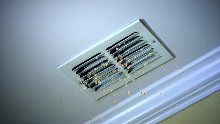 Best General Air Duct Cleaning  in Chatsworth, GA